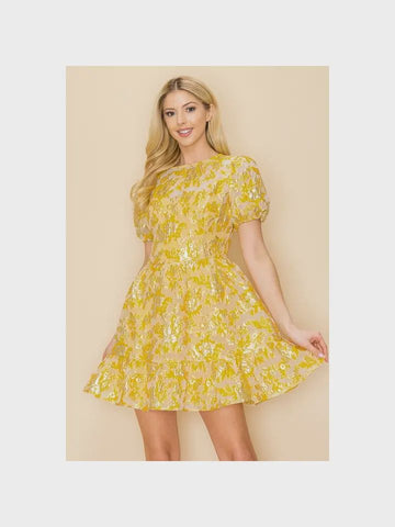 Jacquard puff sleeve mini dress